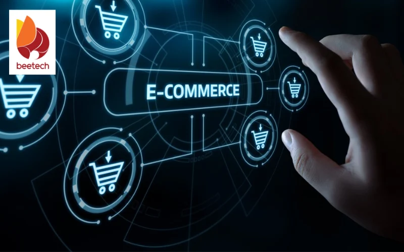 custom e-commerce software development 2