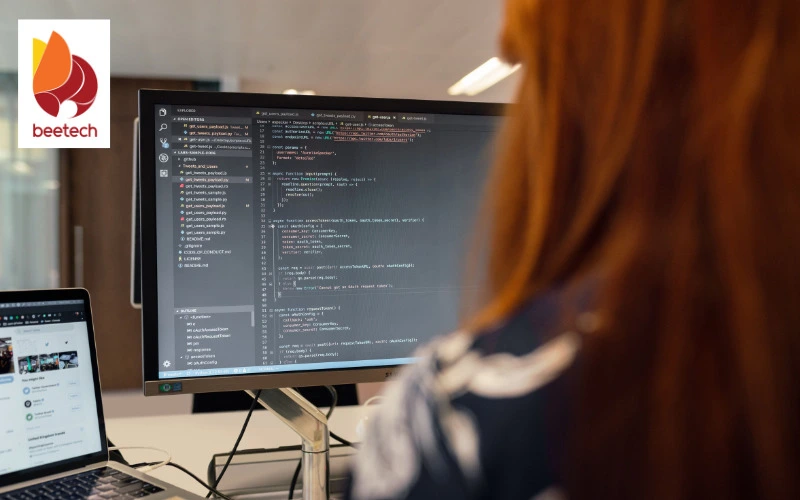 offshore custom software development 2