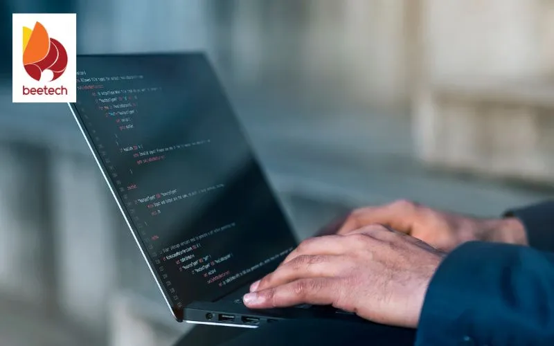 Website and Application Development Services 1