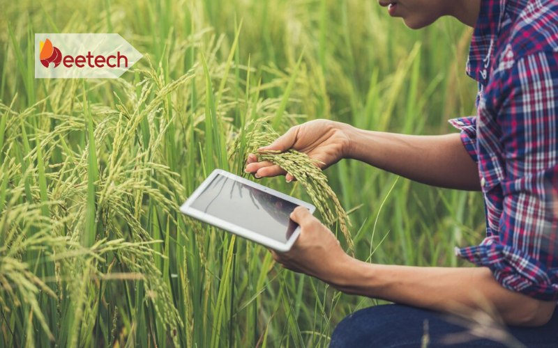 3 ứng dụng IoT trong nông nghiệp có thể bạn chưa biết