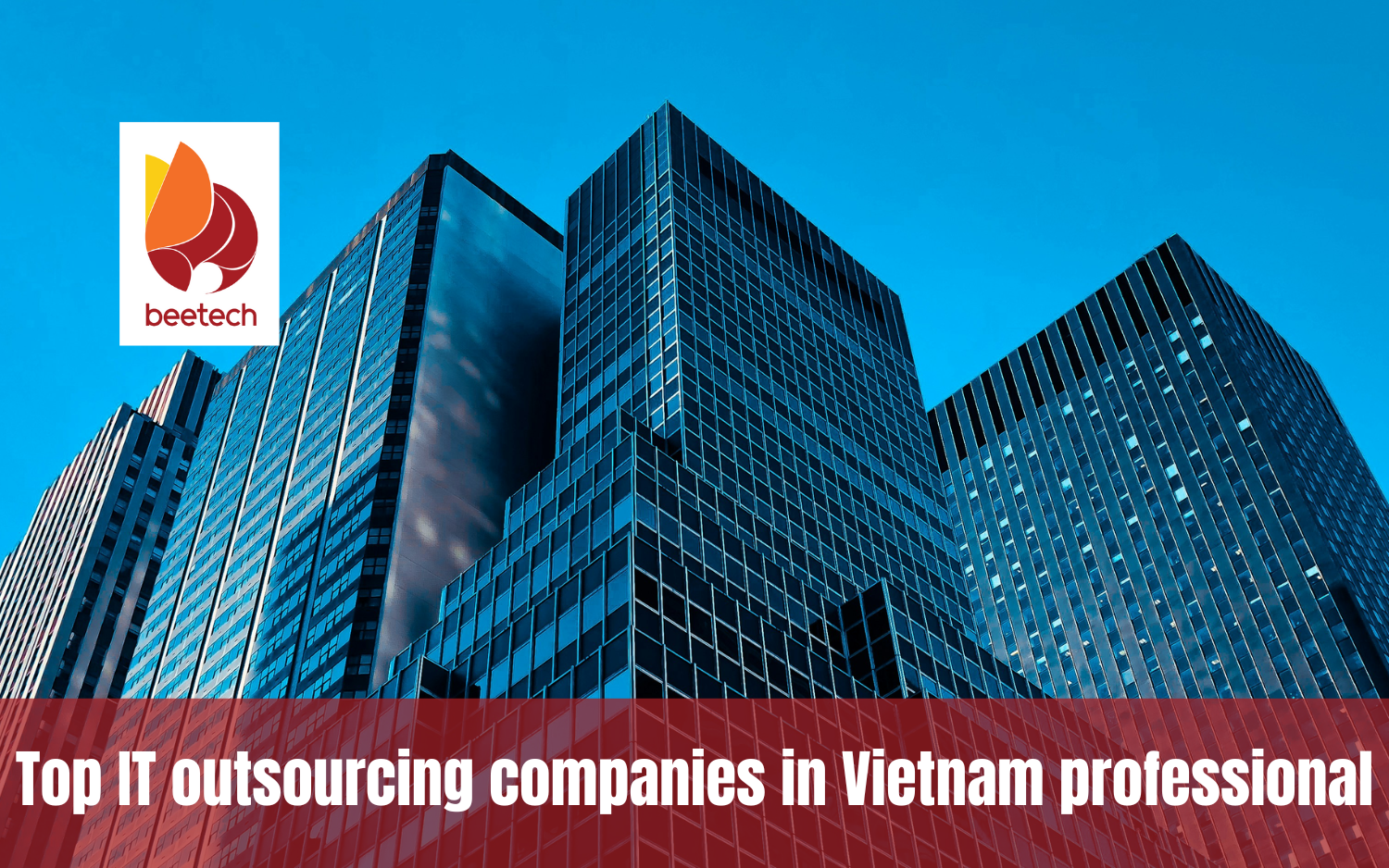 Top IT outsourcing companies in Vietnam professional